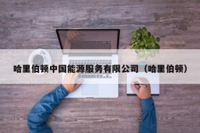 哈里伯顿中国能源服务有限公司（哈里伯顿）