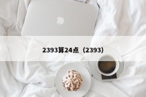 2393算24点（2393）