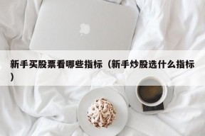 新手买股票看哪些指标（新手炒股选什么指标）