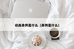 动森条例是什么（条例是什么）