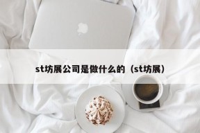 st坊展公司是做什么的（st坊展）