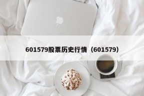 601579股票历史行情（601579）