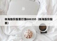 林海股份股票行情600395（林海股份股票）