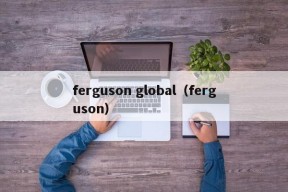 ferguson global（ferguson）