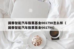 国泰智能汽车股票基金001790怎么样（国泰智能汽车股票基金001790）