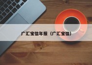 广汇宝信年报（广汇宝信）