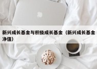 新兴成长基金与积极成长基金（新兴成长基金净值）