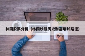 林园股票分析（林园炒股历史财富增长路径）