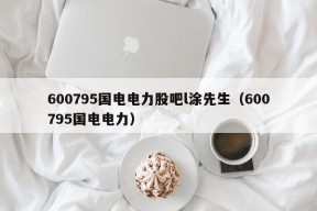 600795国电电力股吧l涂先生（600795国电电力）