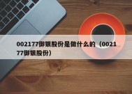 002177御银股份是做什么的（002177御银股份）