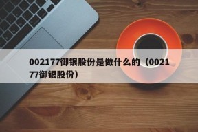 002177御银股份是做什么的（002177御银股份）