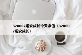 320007诺安成长今天净值（320007诺安成长）