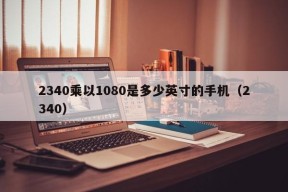 2340乘以1080是多少英寸的手机（2340）