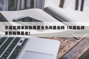 华夏能源革新股票基金天天基金网（华夏能源革新股票基金）