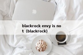 blackrock envy is not（blackrock）