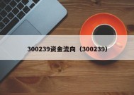 300239资金流向（300239）