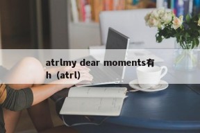 atrlmy dear moments有h（atrl）