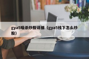 gya5暗杀炒股详细（gya5线下怎么炒股）