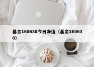 基金160630今日净值（基金160630）