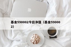 基金590002今日净值（基金590002）