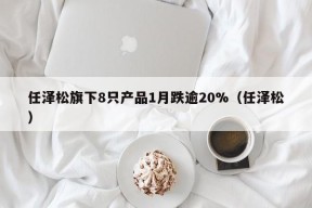 任泽松旗下8只产品1月跌逾20%（任泽松）