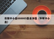 农银中小盘660005基金净值（农银中小盘）