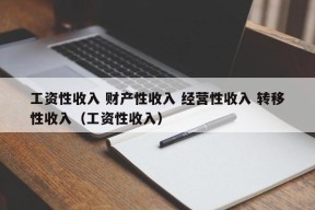 工资性收入 财产性收入 经营性收入 转移性收入（工资性收入）