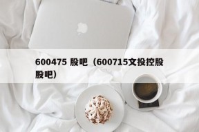 600475 股吧（600715文投控股股吧）