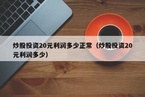 炒股投资20元利润多少正常（炒股投资20元利润多少）