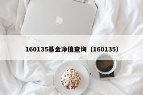 160135基金净值查询（160135）