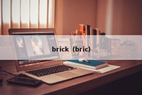 brick（bric）