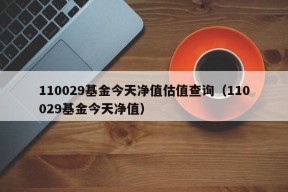 110029基金今天净值估值查询（110029基金今天净值）