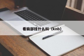 看脑部挂什么科（knb）