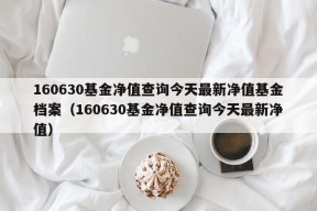 160630基金净值查询今天最新净值基金档案（160630基金净值查询今天最新净值）