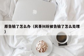 原告输了怎么办（民事纠纷被告输了怎么处理）