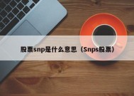 股票snp是什么意思（Snps股票）