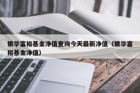 银华富裕基金净值查询今天最新净值（银华富裕基金净值）