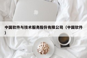 中国软件与技术服务股份有限公司（中国软件）