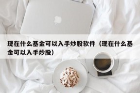 现在什么基金可以入手炒股软件（现在什么基金可以入手炒股）