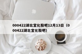 000422湖北宜化股吧12月13日（000422湖北宜化股吧）