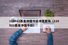 110022基金净值今日净值查询（110022基金净值今日）