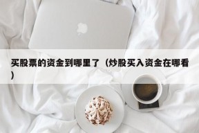 买股票的资金到哪里了（炒股买入资金在哪看）