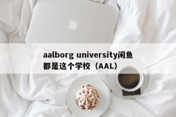 aalborg university闲鱼都是这个学校（AAL）  第1张