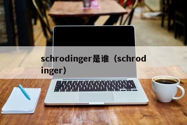 schrodinger是谁（schrodinger）  第1张