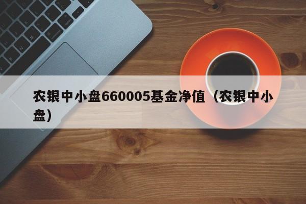 农银中小盘660005基金净值（农银中小盘）  第1张