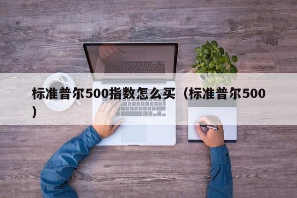 标准普尔500指数怎么买（标准普尔500）  第1张