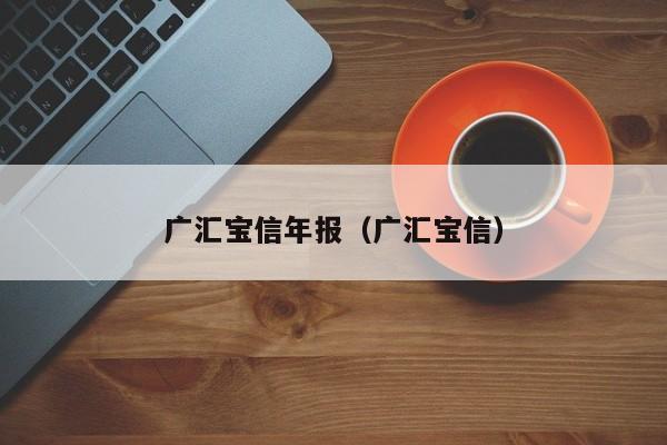 广汇宝信年报（广汇宝信）  第1张