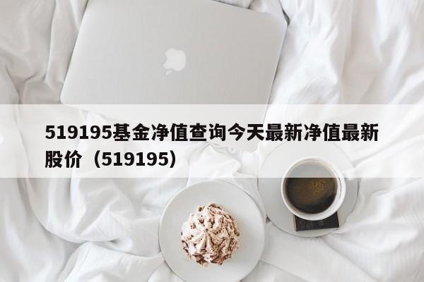 519195基金净值查询今天最新净值最新股价（519195）  第1张