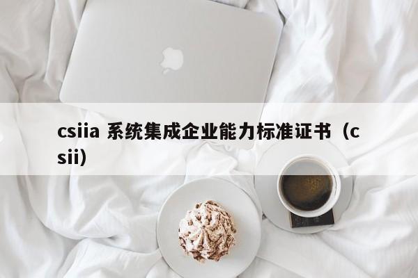 csiia 系统集成企业能力标准证书（csii）  第1张