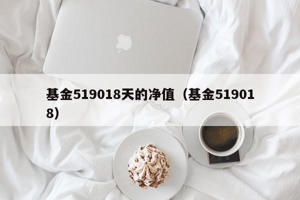 基金519018天的净值（基金519018）  第1张